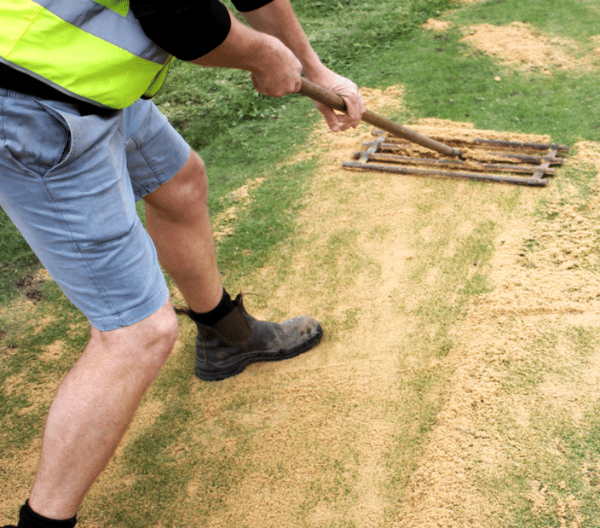 Lawn Top Dressing (Standard) $95m3