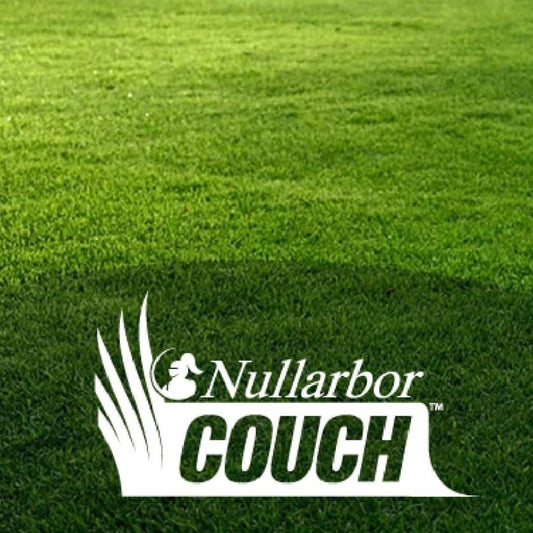 Nullabor Couch $9m2