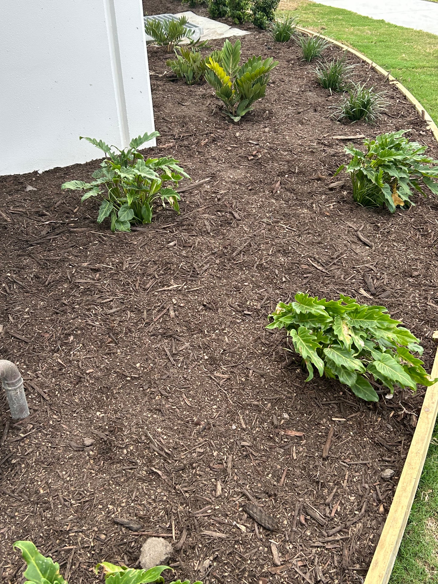 Cypress Mulch $140m3