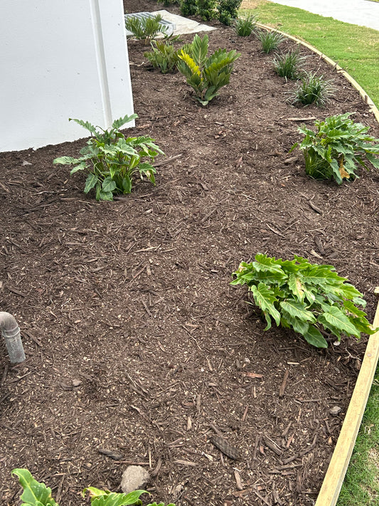 Cypress Mulch $140m3