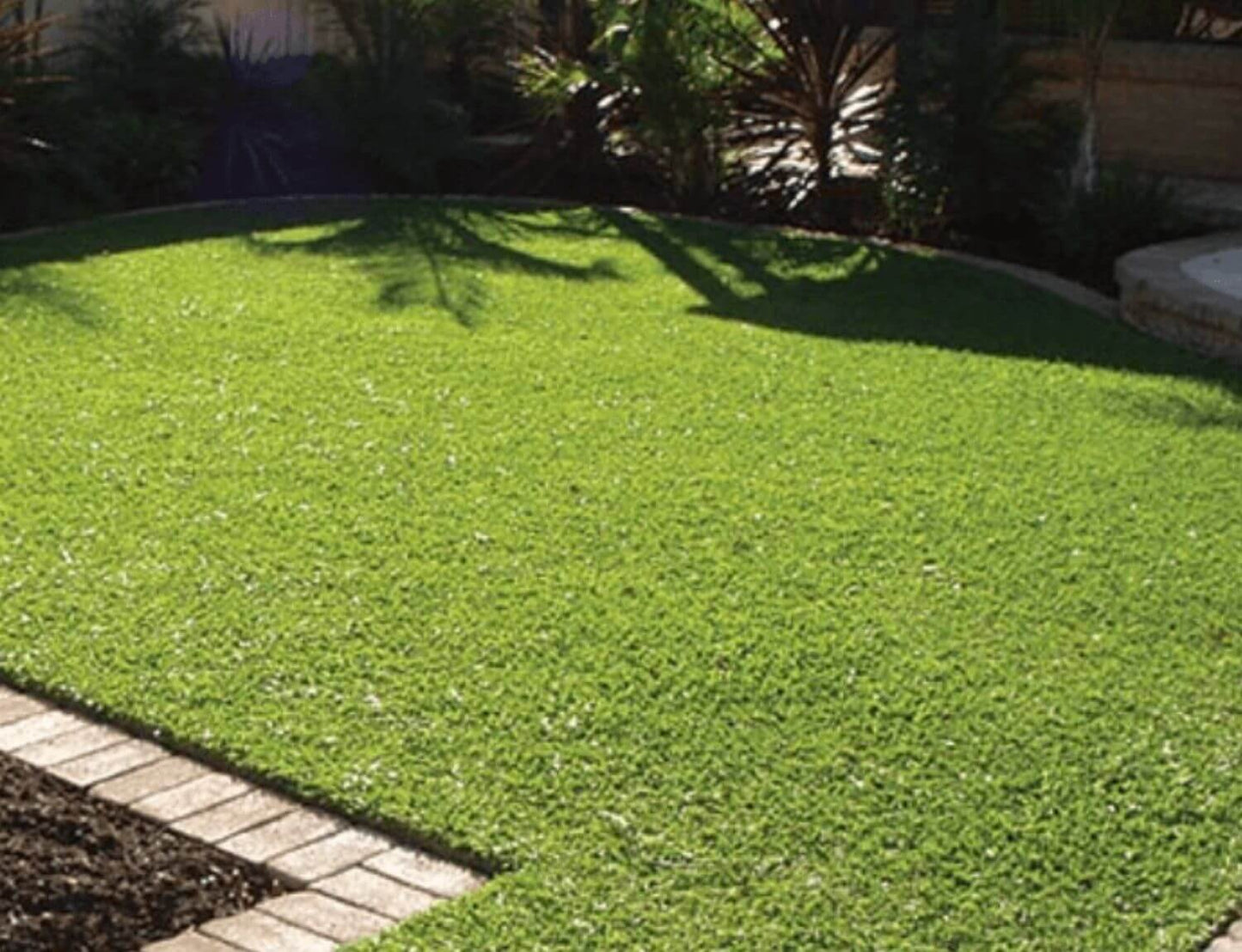 Palmetto Buffalo $14m2
