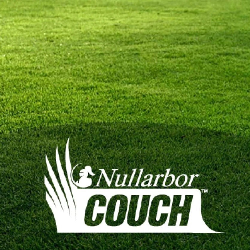 Turf Nullabor Couch $9m2